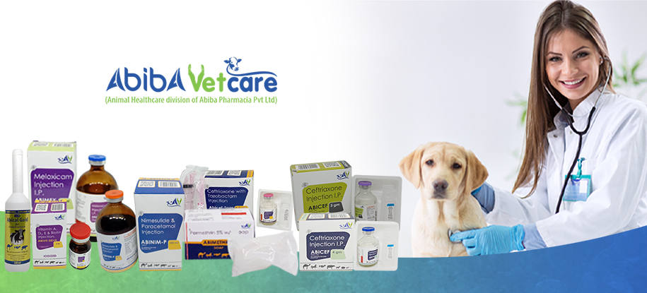 Veterinary PCD Pharma Franchise in Uttar Pradesh